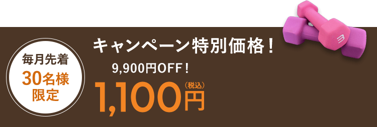 キャンペーン特別価格！ 8,800円OFF！1,100円（税込）