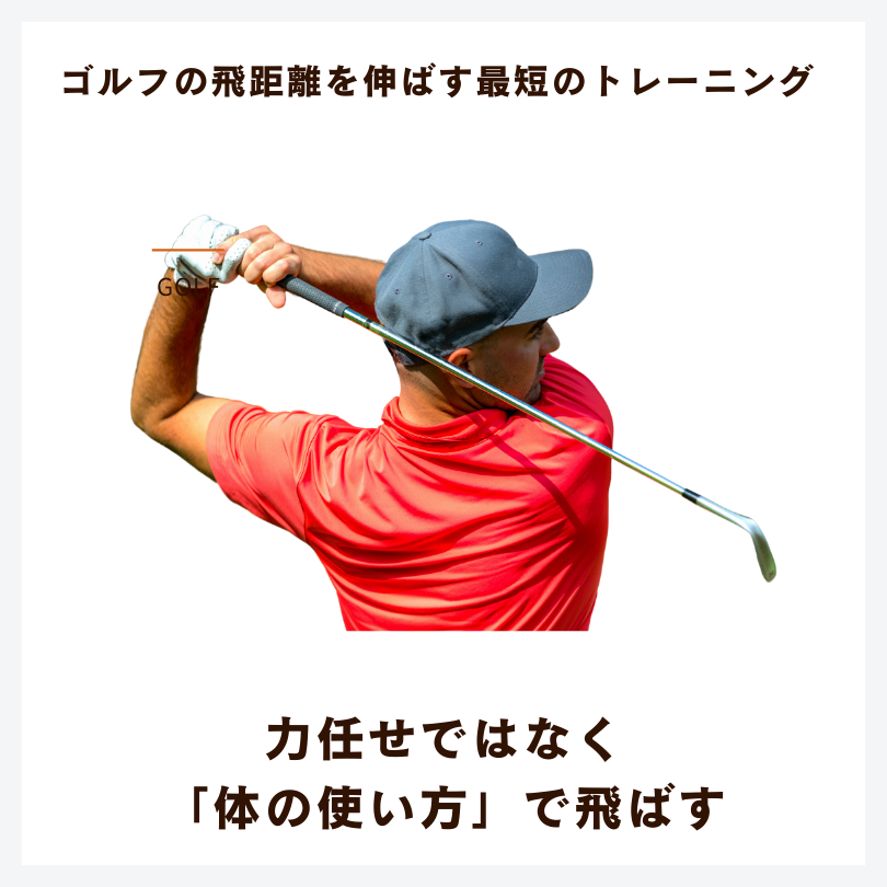 キャンペーン情報