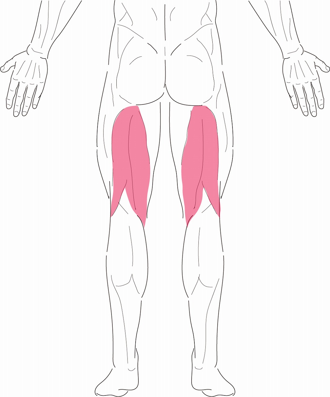足-ハムストリングス後