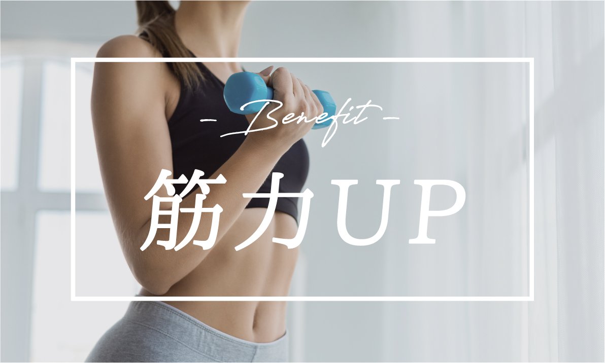トレーニングの期待効果 筋力UP