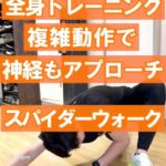 【全身トレーニング💦】複雑動作で神経もアプローチ！スパイダーウォーク