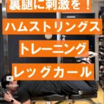 【もも痩せ必見！】裏腿🦵に刺激を！ハムストリングストレーニング レッグカール