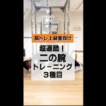 【筋トレ上級者向け】超過酷！二の腕トレーニング３種目